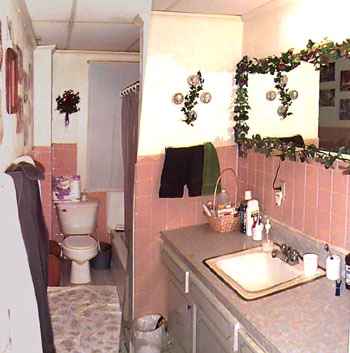 The oh-so-lovely pink bathroom