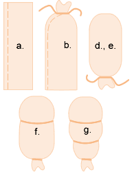 Head-sewing steps