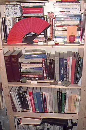 Some of my books from college (just a few, mind you :)