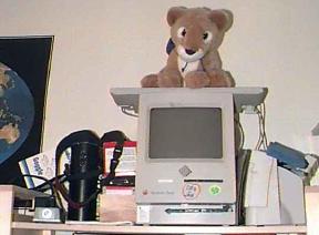 My poor little Mac Classic from 1991, now consigned to a high shelf and guarded by Francis the Lion.